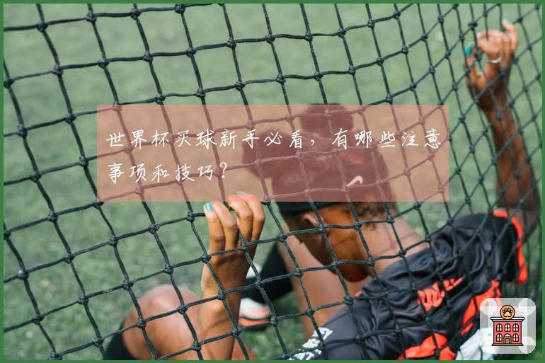 世界杯买球新手必看，有哪些注意事项和技巧？
