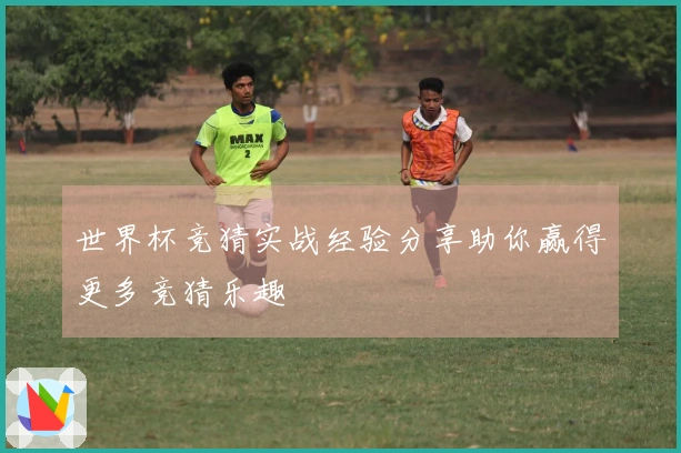 世界杯竞猜实战经验分享助你赢得更多竞猜乐趣