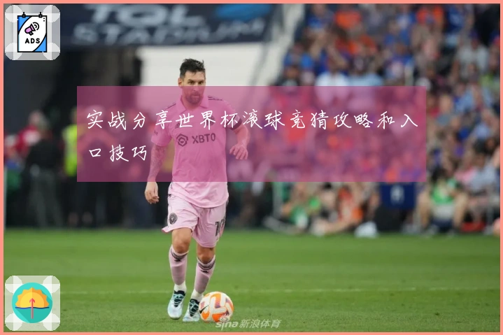 实战分享世界杯滚球竞猜攻略和入口技巧