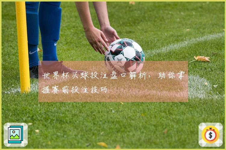 世界杯买球投注盘口解析，助你掌握赛前投注技巧