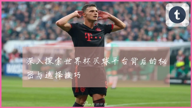 深入探索世界杯买球平台背后的秘密与选择技巧