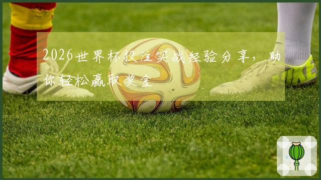 2026世界杯投注实战经验分享，助你轻松赢取奖金