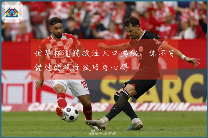 世界杯竞猜投注入口揭秘，你不可错过的投注技巧与心得