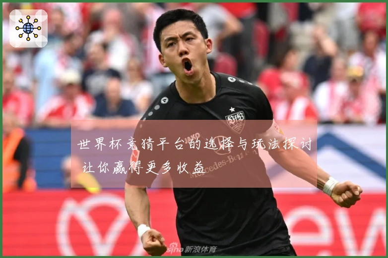 世界杯竞猜平台的选择与玩法探讨 让你赢得更多收益