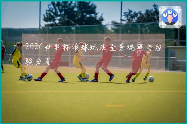 2026世界杯滚球玩法全景观察与经验分享