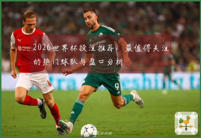 2026世界杯投注推荐，最值得关注的热门球队与盘口分析