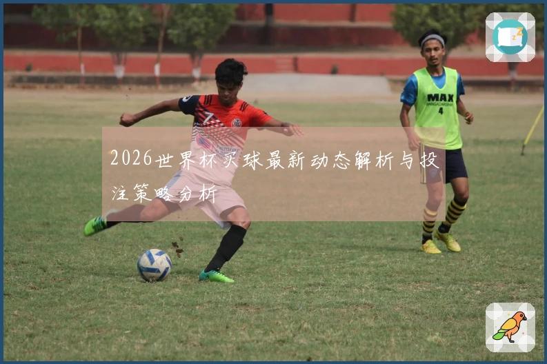 2026世界杯买球最新动态解析与投注策略分析