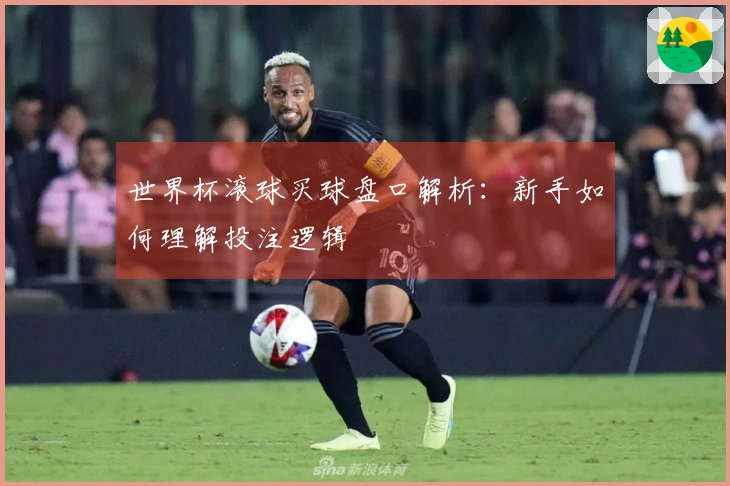 世界杯滚球买球盘口解析：新手如何理解投注逻辑
