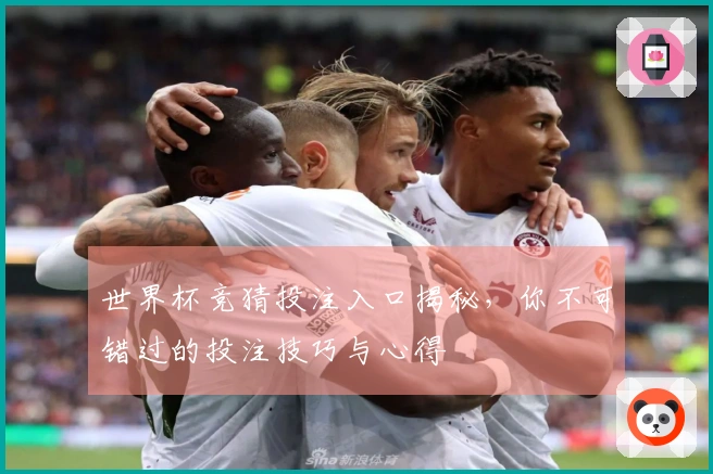 世界杯竞猜投注入口揭秘，你不可错过的投注技巧与心得