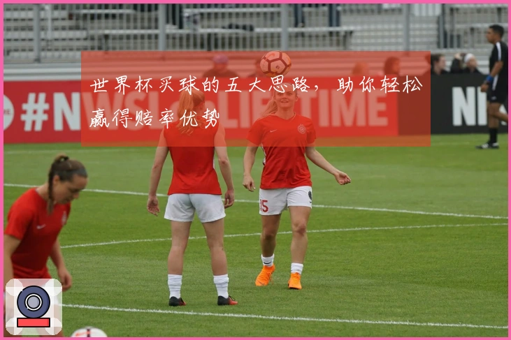 世界杯买球的五大思路，助你轻松赢得赔率优势