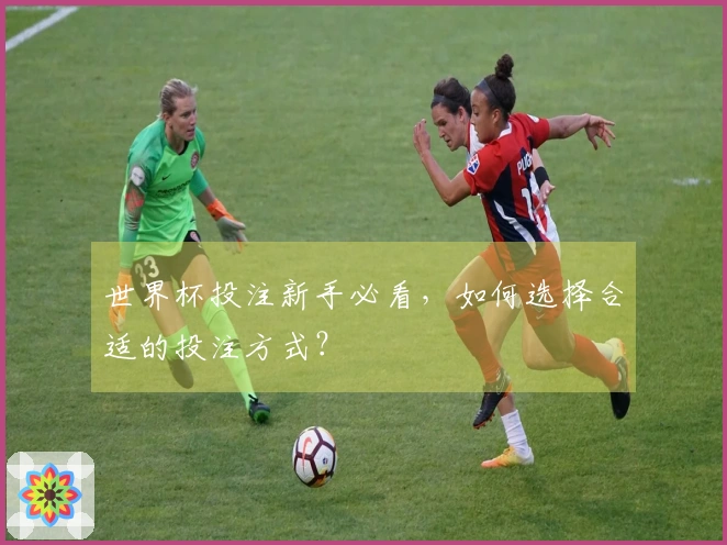 世界杯投注新手必看，如何选择合适的投注方式？