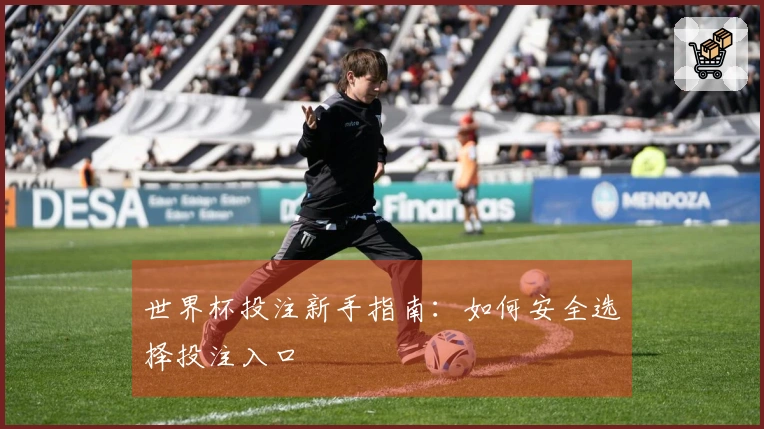 世界杯投注新手指南：如何安全选择投注入口