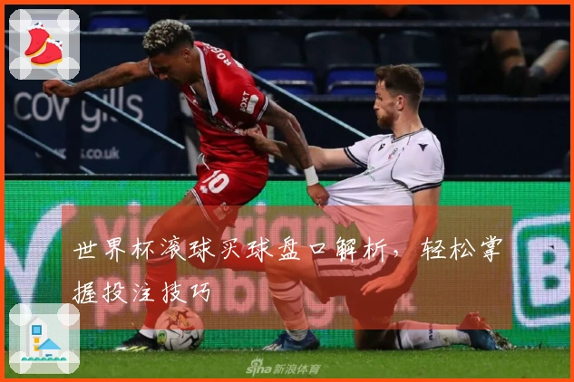 世界杯滚球买球盘口解析，轻松掌握投注技巧