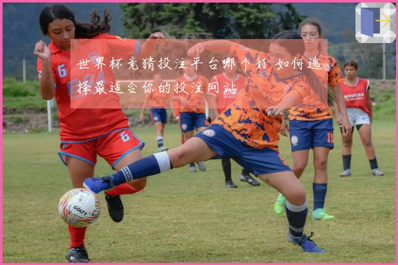 世界杯竞猜投注平台哪个好 如何选择最适合你的投注网站