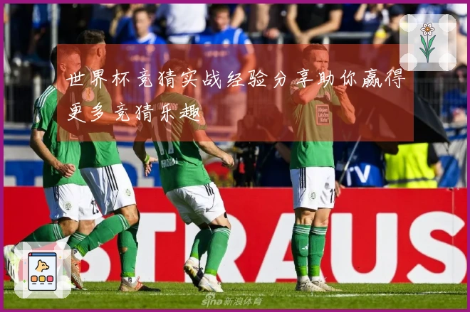 世界杯竞猜实战经验分享助你赢得更多竞猜乐趣